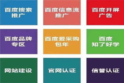 百度广告投放策略优化及成功案例解析